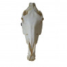 Model kostny Głowa konia